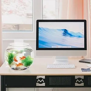 POPETPOP Plastic Fish Bowl Small Fish Tank Desktop Fish Tank Clear Round Fish Bowl 19.5X19.5X18CM Transparent - Fish Bowl