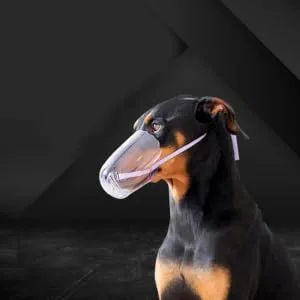 BESPORTBLE 4pcs Cat Muzzle Transparent Muzzle Cat Muzzle Cat Head Muzzle Dog Muzzles Pp - product information 5