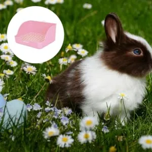 HAPINARY Box Rabbit Potty Bunny Litter Cat Litter Pan Hamster Toilet Corner Pet Litter Pan Plastic 28x23cm Pink - product information 3