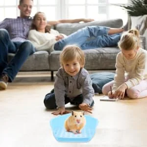 BESPORTBLE Box Rabbit Toilet Bunny Accessories Critter Bath Toilet Pan Tray Bunny Supplies Hamster Plastic Blue - product information 5
