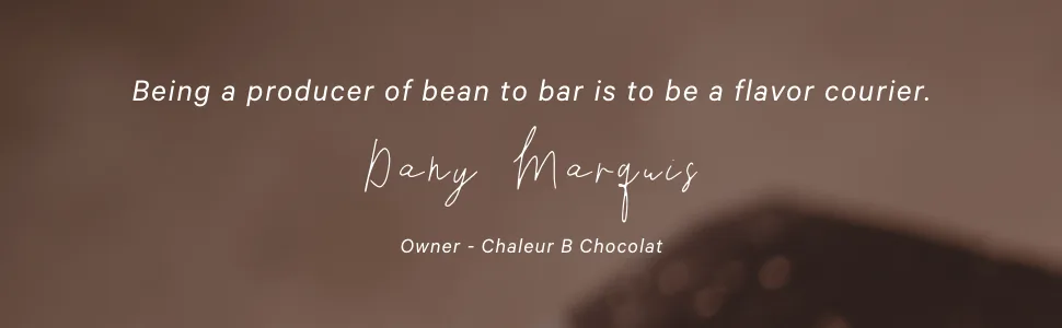 Handcrafted Chocolate Chips - 51% Cocoa Milk Chocolate - 1kg - Chaleur B Chocolat - dark chocolate chocolat santé fair trade chocolate healthy chocolate chocolat