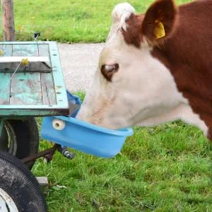 Hohopeti Automatic Water Bowl Livestock Water Feeder Livestock Water Trough Drinking Bowl Water Gauge Major - product information 4