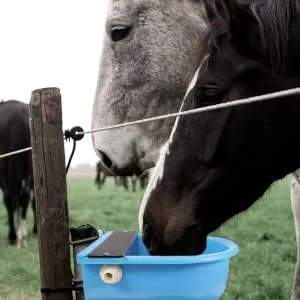 Hohopeti Automatic Water Bowl Livestock Water Feeder Livestock Water Trough Drinking Bowl Water Gauge Major - product information 5