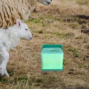 FUNOMOCYA 2pcs Salt Brick Stand for Sheep Feed Pan Livestock Salt Feeder Pp Poultry Cattle and Sheep - product information 1