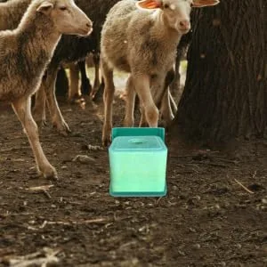 FUNOMOCYA 2pcs Salt Brick Stand for Sheep Feed Pan Livestock Salt Feeder Pp Poultry Cattle and Sheep - product information 3