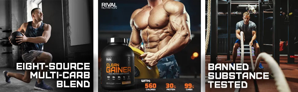Clean Gainer Cinnamon Toast Cereal - 5lb - clean gainer - multi carb blend
