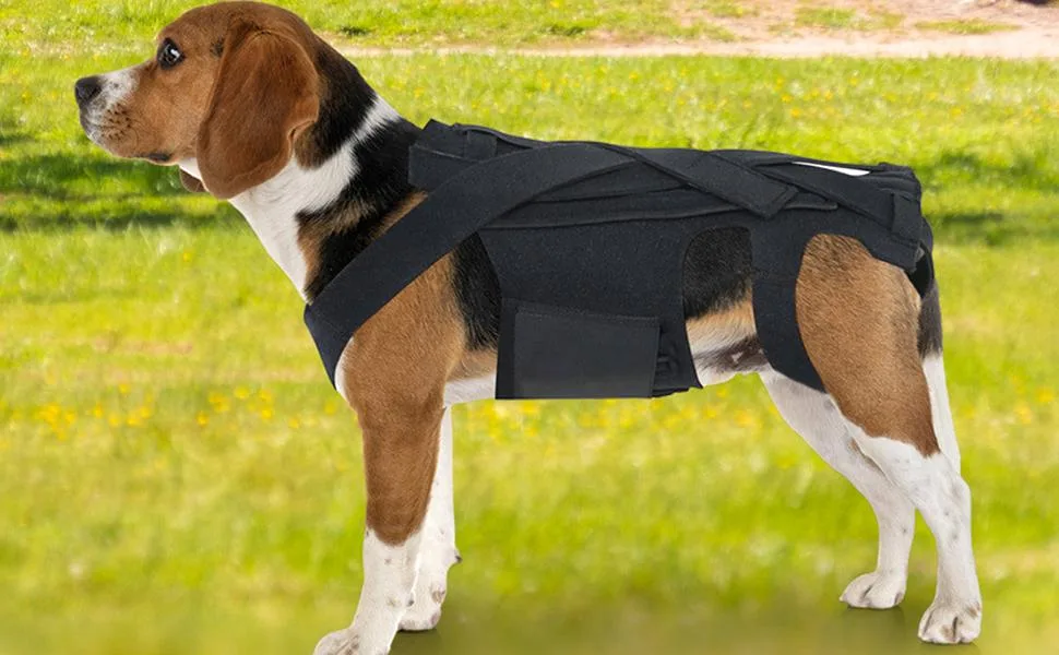 Breathable Dog Back Brace - Pets Back Protector Soft Back Bracers - Back Protector Helps Injury Recovery and Rehabilitation S//L Fovolat Black Medium - Breathable Dog Back Brace - Durable Dachshund Back Protector,Back Protector Helps Injury Recovery