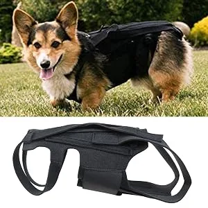 Breathable Dog Back Brace - Pets Back Protector Soft Back Bracers - Back Protector Helps Injury Recovery and Rehabilitation S//L Fovolat Black Medium - Excellent Design