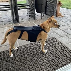 Breathable Dog Back Brace - Pets Back Protector Soft Back Bracers - Back Protector Helps Injury Recovery and Rehabilitation S//L Fovolat Black Medium - High-Grade Material