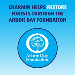 Charmin Flushable Wipes, 12 packs of 40 Flushable Wipes, 480 Wipes Total (Packaging May Vary) - Arbor Day Foundation