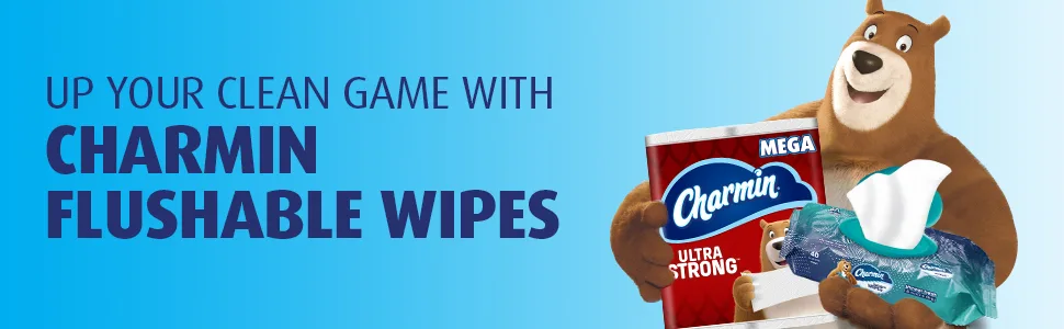 Charmin Flushable Wipes, 12 packs of 40 Flushable Wipes, 480 Wipes Total (Packaging May Vary) - Charmin Flushable Wipes