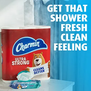 Charmin Flushable Wipes, 12 packs of 40 Flushable Wipes, 480 Wipes Total (Packaging May Vary) - Shower Fresh Clean