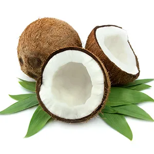 Coco Rel, Cream of Coconut, 16.9 FL OZ Squeezable Bottle (Pack of 3) - product information 2