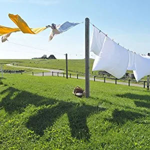 Long Length Adult Bibs - 3 Pack - Large Clothing Protectors - product information 7