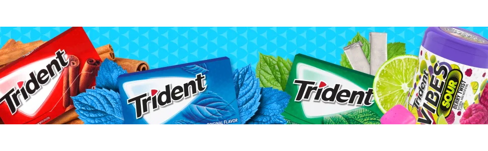 Trident Bubblegum Sugar Free Gum, 12 Packs of 14 Pieces (168 Total Pieces) Bubble Gum - image