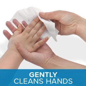 Purell Hand Sanitizing Wipes, Clean Refreshing Scent, 20 Count Travel Pack (Pack of 6) - 9124-09-EC - kill germs, healthy hands, purell, purell hand wipes