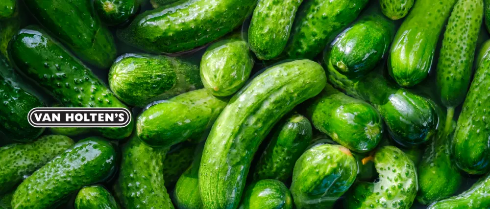 Van Holten's Pickles - Variety Pickle-In-A-Pouch Sampler - 8 Pack - Pickle-In-A-Pouch