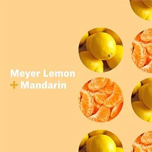 Everyone Hand Soap: Meyer Lemon and Mandarin, 12.75 Ounce, 3 Count Meyer Lemon and Mandarin 12.75 Fl Oz (Pack of 3) - EVO Meyer Lemon and Mandarin