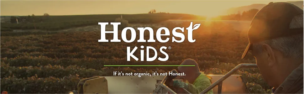 Honest Kids Super Fruit Punch Organic Fruit Juice Drink, 6.75 Fl Oz, 32 Pack - unspecified