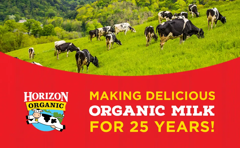 Horizon Organic Shelf-Stable 1% Low Fat milk Boxes, Chocolate, 8 oz., 6 Pack - image