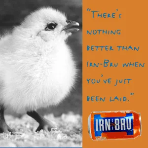 IRN-BRU From AG Barr The Original and Best Sparkling Flavored Soft Drink | A Scottish Favorite | 16.9 Fluid Ounce (Pack of 12) - Irn Bru advertisement