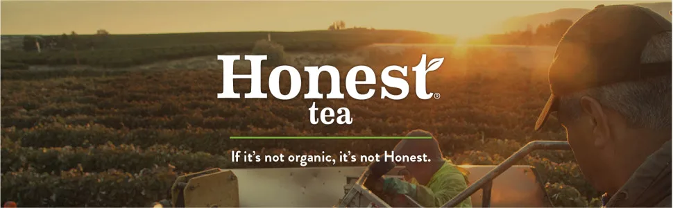 Honest Tea Organic Fair Trade Half Tea & Half Lemonade Gluten Free, 16.9 Fl. Oz, 12 Pack - unspecified