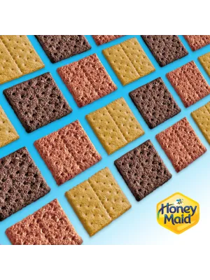 Honey Maid Honey Graham Crackers, 12 - 14.4 oz Boxes 14.4 Ounce (Pack of 12) - image