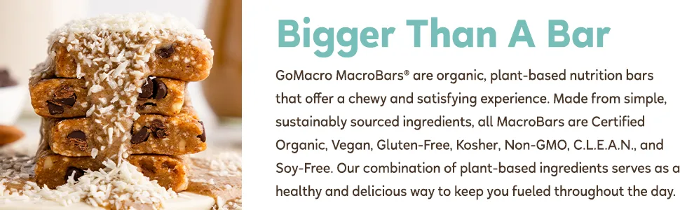 GoMacro MacroBar Organic Vegan Protein Bars - Coconut + Almond Butter + Chocolate Chips (2.3 Ounce Bars, 12 Count) - CAB Product
