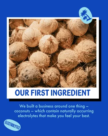 Vita Coco Coconut Water, Pure Organic | Refreshing Coconut Taste | Natural Electrolytes | Vital Nutrients | 16.9 Oz (Pack Of 12) - product information 5