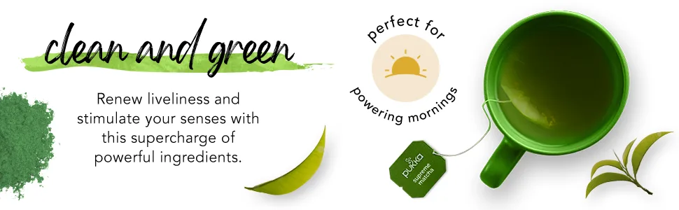 Pukka Supreme Matcha Green, Organic Herbal Green Tea with Oothu, Sencha & Suio Gang, 20 Count (Pack of 3) - product information 3