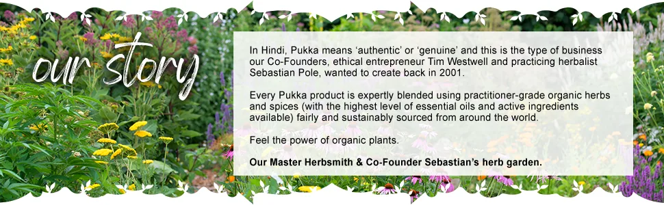 Pukka Supreme Matcha Green, Organic Herbal Green Tea with Oothu, Sencha & Suio Gang, 20 Count (Pack of 3) - product information 4