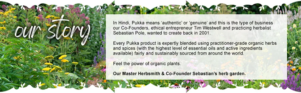 Pukka Organic Tea Bags, Elderberry & Echinacea Herbal Tea, Perfect for Wellness Support, 20 Count (Pack of 3) 60 Tea Bags - product information 4