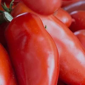 Cento Organic Italian Peeled Tomatoes 1.75 Pound(Pack of 6) 1.75 Pound (Pack of 6) - pasta tomatoes