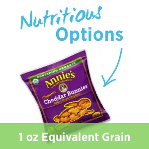 Annie's Organic Friends Bunny Graham Snacks, Chocolate Chip, Chocolate & Honey, 12 Packets (Pack of 4) - Nutritious Option