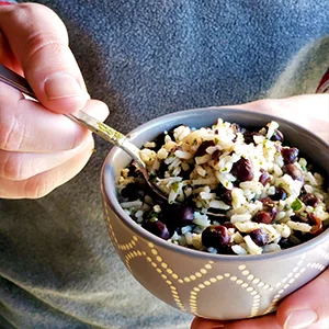 Chef Soraya Multi Flavor 6 Pack - Plant Based, Vegan, Macro Meal - Nutrient Dense Macro Meals