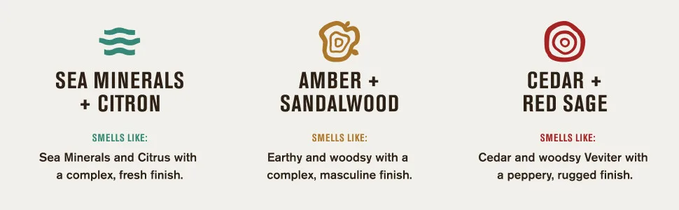 Every Man Jack Men s Amber + Sandalwood Antiperspirant Deodorant for Men - 24-Hour Odor Protection - 2.6 oz (2 Pack) - image