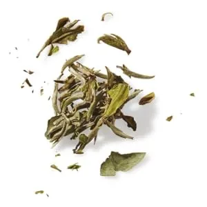 John Masters Organics Green Tea Calendula Mist - Green Tea