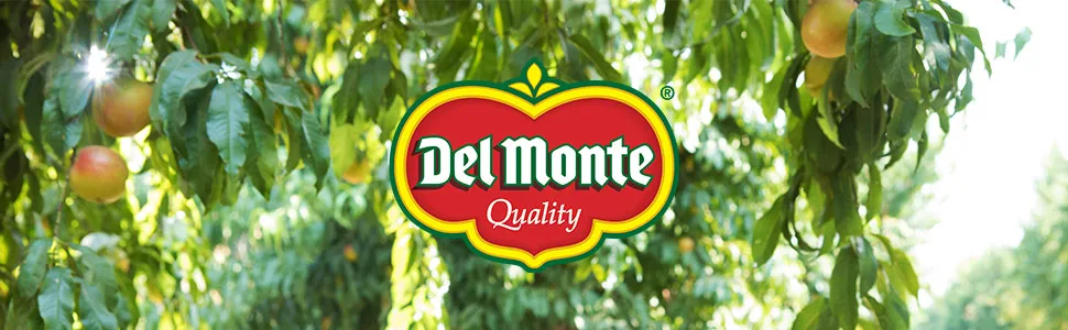 Del Monte Canned Sliced Peaches in Extra-Light Syrup, 8.25 Ounce (Pack of 12) - del monte fruit