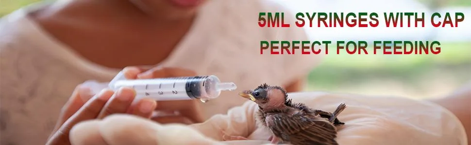 5ml Syringes with Caps (20 Pack) - product information 1
