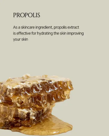 Beauty of Joseon Pine Grove : Eau De Perfume (30ml 1fl.oz.) - propolis