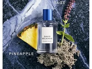 David Beckham Beyond Forever Eau De Toilette Spray for Men 3 Ounce 3 Fl Oz (Pack of 1) - product information 10