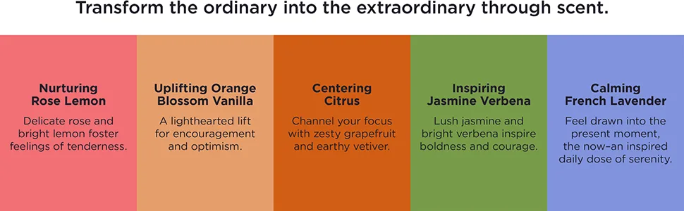 EO Organic Deodorant Spray 4 Ounce (Pack of 3) Citrus Organic Plant-Based Botanical Extracts Citrus 1.33 Fl Oz (Pack of 3) - Transform the ordinary