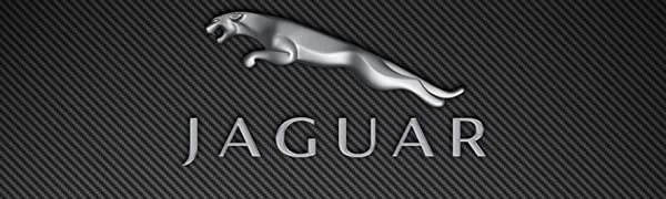 Jaguar Eau De Toilette Spray 3.4 Ounce / 100 Ml for Men 3.4 Ounce Multi (Pack of 2) - product information 1