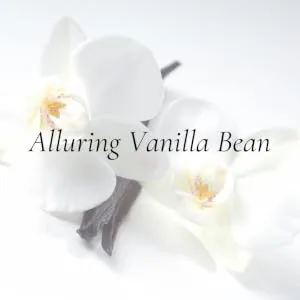 Tulip Amber Vanilla Bean Eau de Parfum - Alluring Vanilla Bean Text