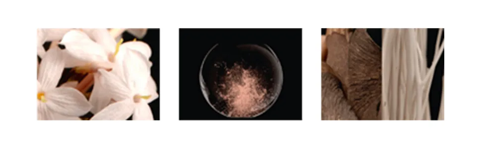 Narciso Rodriguez Narciso Cristal for Women - 3 oz EDP Spray Floral 3 Fl Oz (Pack of 1) - product information 2