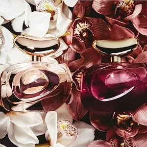 Vince Camuto Illuminare Intensa 3.4 fl. oz. - Illuminare Intensa