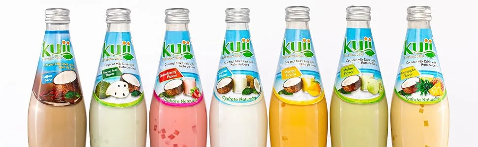 Coconut Milk Drink Original 9.8FL OZ (Pack of 12) - Refreshing Flavors