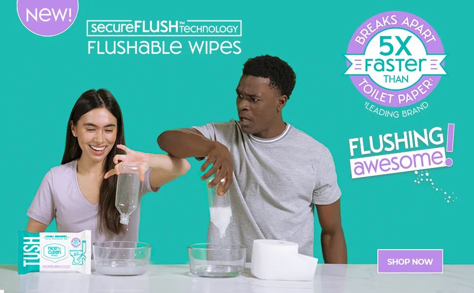 Nice 'N Clean SecureFLUSH Adult Flushable Wipes | Moist Toilet Tissue with Moisturizing Aloe & Vitamin E, 42 Count, Pack of 6 - flushable wipes