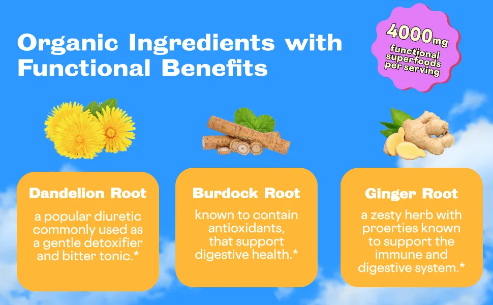 Sunwink Detox Ginger Sparkling Tonic 12 Pack | Organic, non-alcoholic drink with plant-based ingredients for relaxation and digestion support | (12 oz) - Burdock Root Dandelion Root Ginger Root functional benefits
