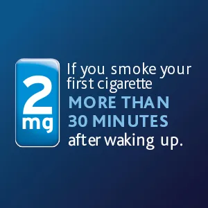 Quit Smoking Gum by Nicorette - 2 mg